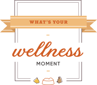 whatsyourwellness